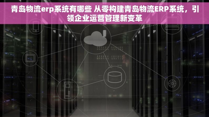 青岛物流erp系统有哪些 从零构建青岛物流ERP系统，引领企业运营管理新变革