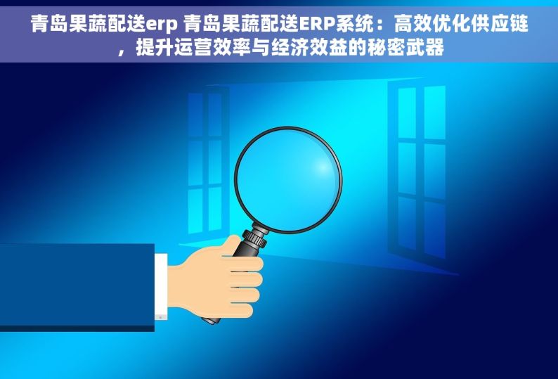 青岛果蔬配送erp 青岛果蔬配送ERP系统：高效优化供应链，提升运营效率与经济效益的秘密武器