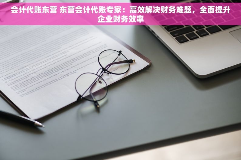 会计代账东营 东营会计代账专家：高效解决财务难题，全面提升企业财务效率