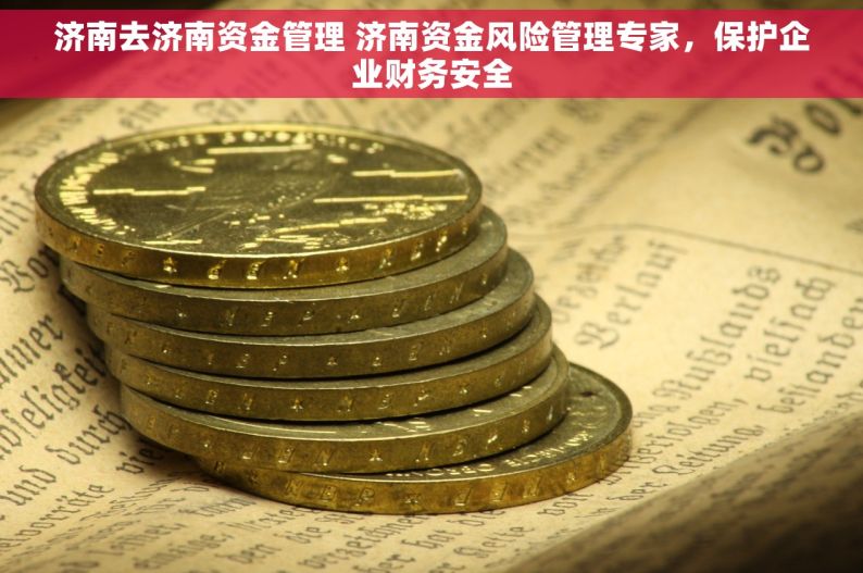 济南去济南资金管理 济南资金风险管理专家，保护企业财务安全