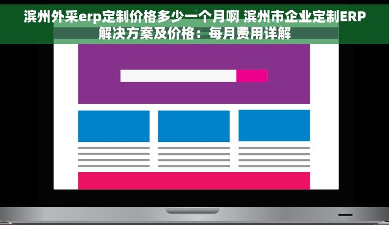 滨州外采erp定制价格多少一个月啊 滨州市企业定制ERP解决方案及价格：每月费用详解