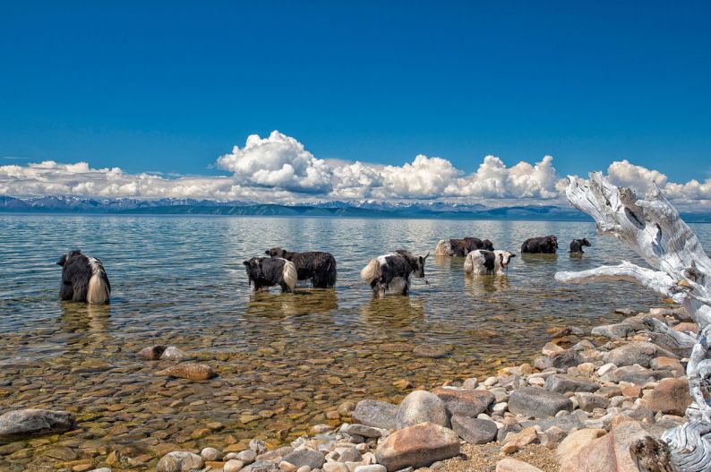 探索青岛蒙阳物流水果批发市场的最新动态与入驻指南