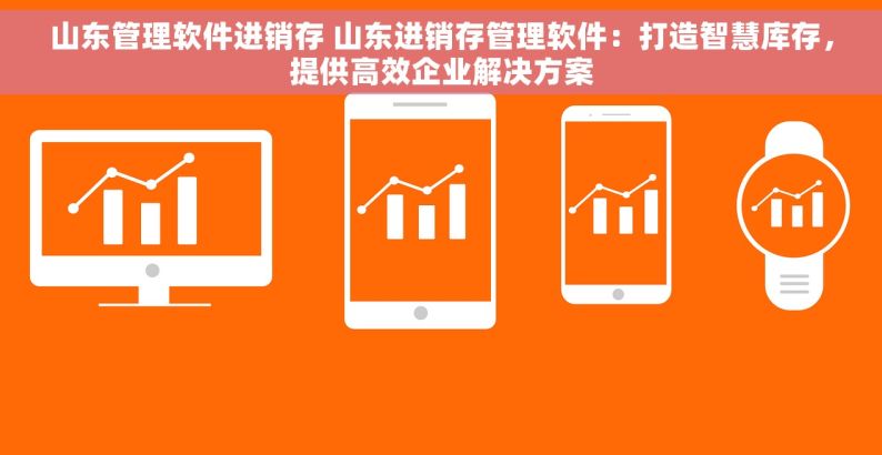 山东管理软件进销存 山东进销存管理软件：打造智慧库存，提供高效企业解决方案