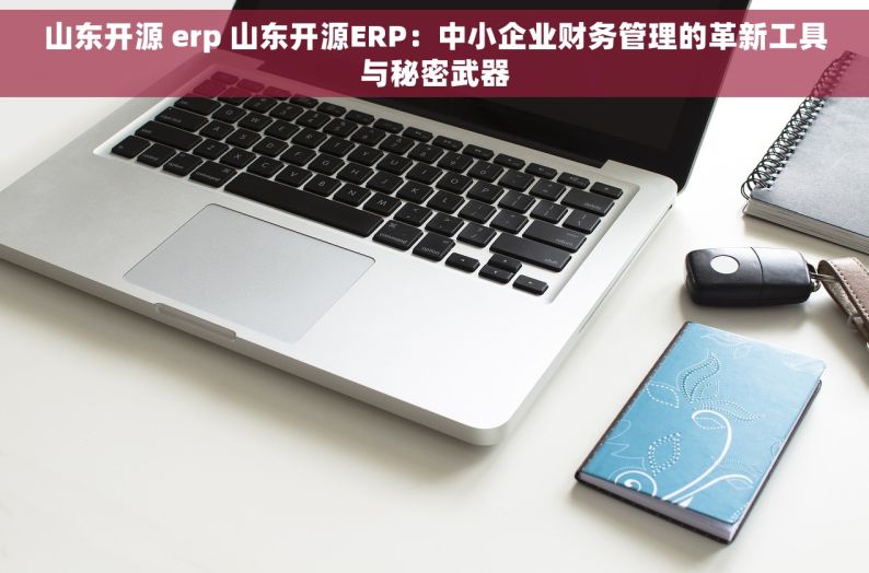 山东开源 erp 山东开源ERP：中小企业财务管理的革新工具与秘密武器