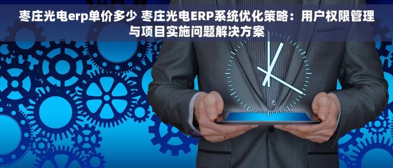 枣庄光电erp单价多少 枣庄光电ERP系统优化策略：用户权限管理与项目实施问题解决方案