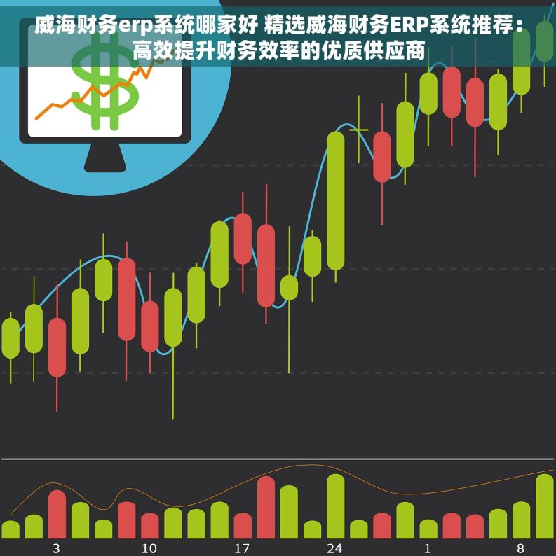 威海财务erp系统哪家好 精选威海财务ERP系统推荐：高效提升财务效率的优质供应商