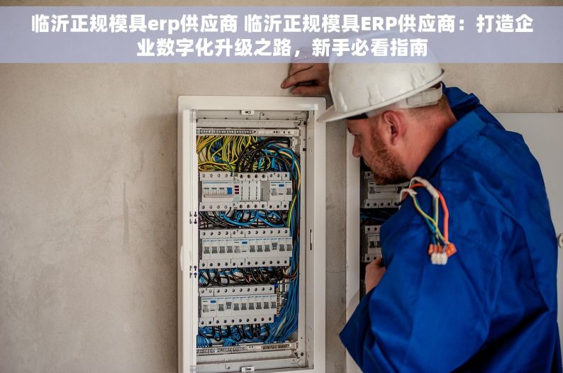 临沂正规模具erp供应商 临沂正规模具ERP供应商：打造企业数字化升级之路，新手必看指南