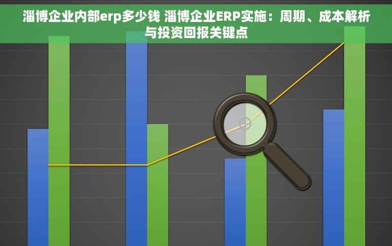 淄博企业内部erp多少钱 淄博企业ERP实施：周期、成本解析与投资回报关键点