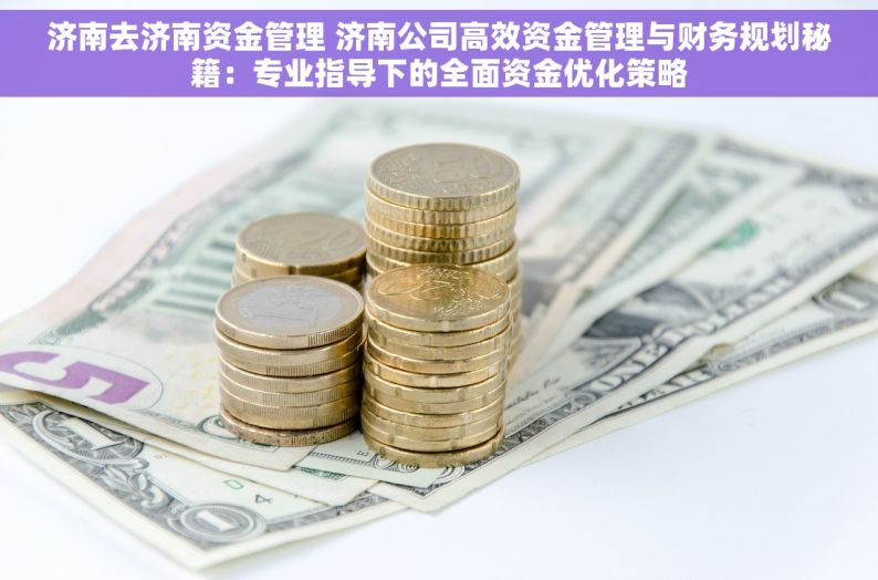 济南去济南资金管理 济南公司高效资金管理与财务规划秘籍：专业指导下的全面资金优化策略