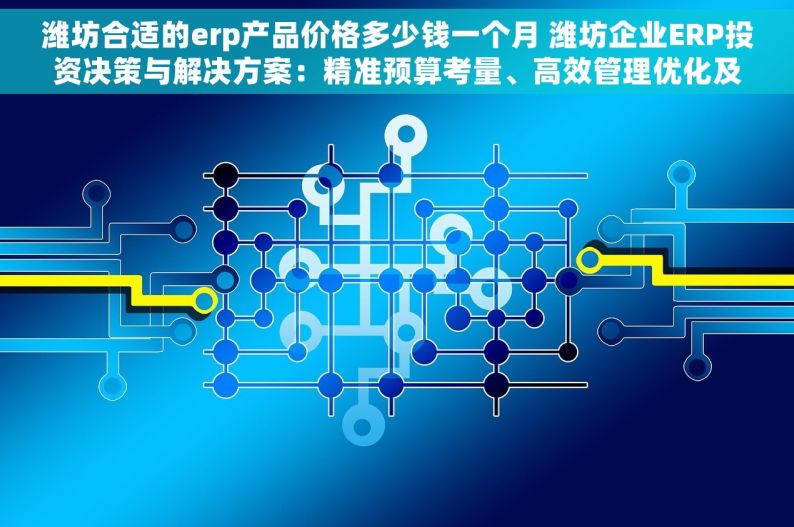 潍坊合适的erp产品价格多少钱一个月 潍坊企业ERP投资决策与解决方案：精准预算考量、高效管理优化及每月费用解析