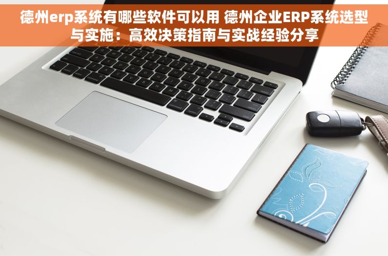 德州erp系统有哪些软件可以用 德州企业ERP系统选型与实施：高效决策指南与实战经验分享