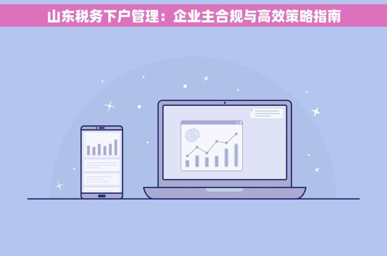 山东税务下户管理：企业主合规与高效策略指南