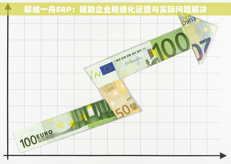 聊城一舟ERP：赋能企业精细化运营与实际问题解决