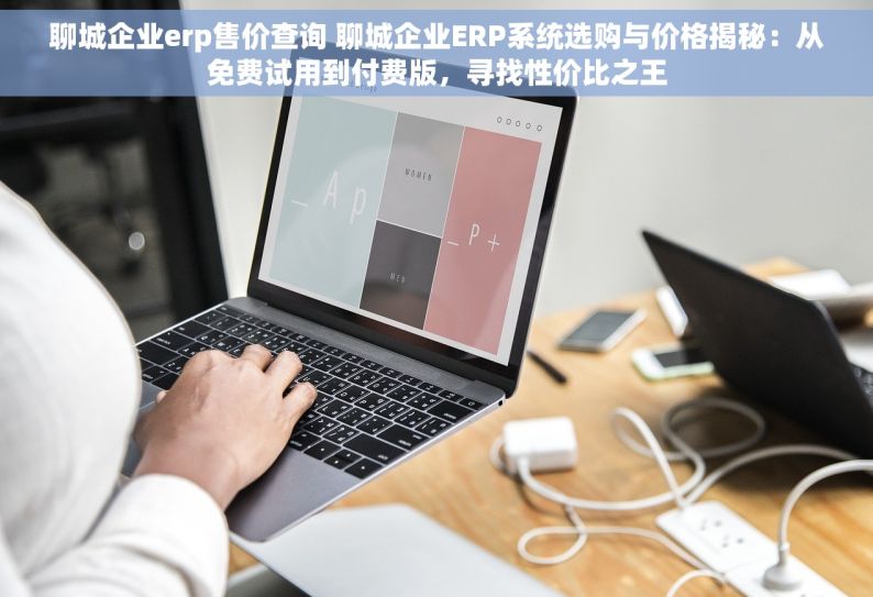 聊城企业erp售价查询 聊城企业ERP系统选购与价格揭秘：从免费试用到付费版，寻找性价比之王