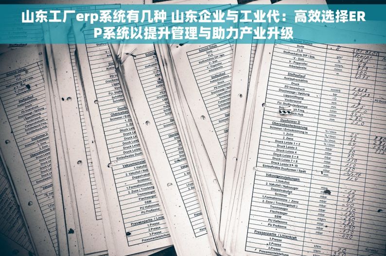 山东工厂erp系统有几种 山东企业与工业代：高效选择ERP系统以提升管理与助力产业升级