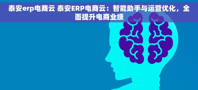 泰安erp电商云 泰安ERP电商云：智能助手与运营优化，全面提升电商业绩