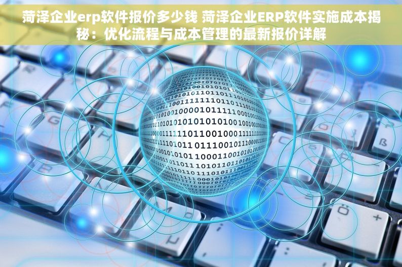 菏泽企业erp软件报价多少钱 菏泽企业ERP软件实施成本揭秘：优化流程与成本管理的最新报价详解