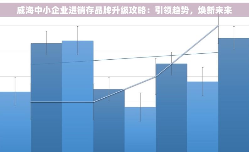 威海中小企业进销存品牌升级攻略：引领趋势，焕新未来