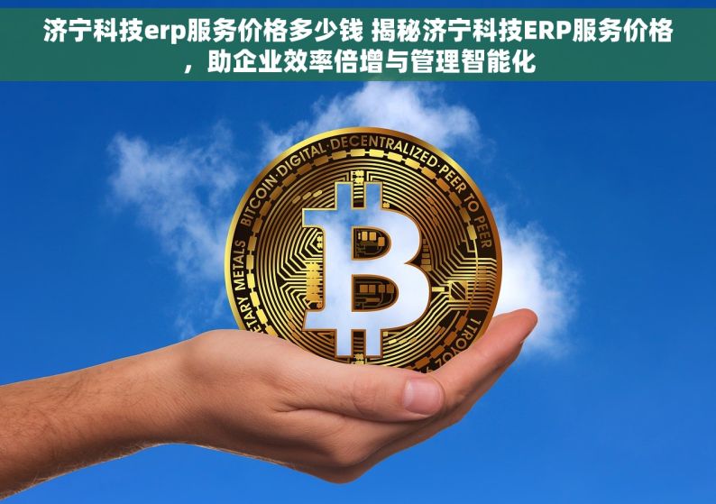 济宁科技erp服务价格多少钱 揭秘济宁科技ERP服务价格，助企业效率倍增与管理智能化