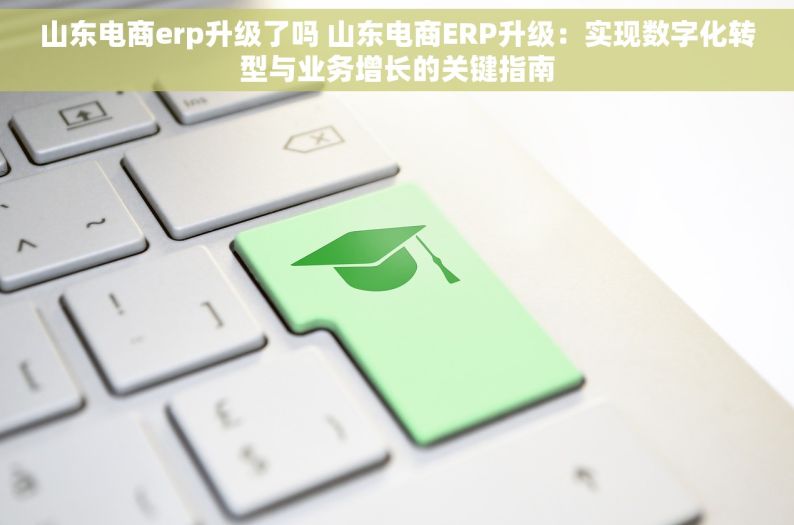 山东电商erp升级了吗 山东电商ERP升级：实现数字化转型与业务增长的关键指南