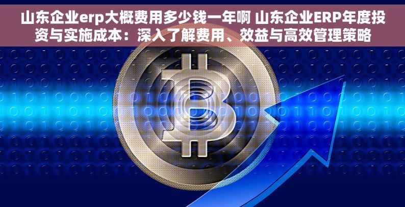 山东企业erp大概费用多少钱一年啊 山东企业ERP年度投资与实施成本：深入了解费用、效益与高效管理策略