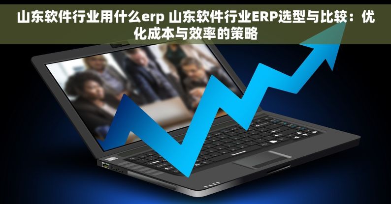 山东软件行业用什么erp 山东软件行业ERP选型与比较：优化成本与效率的策略