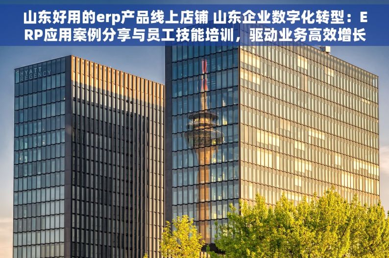 山东好用的erp产品线上店铺 山东企业数字化转型：ERP应用案例分享与员工技能培训，驱动业务高效增长