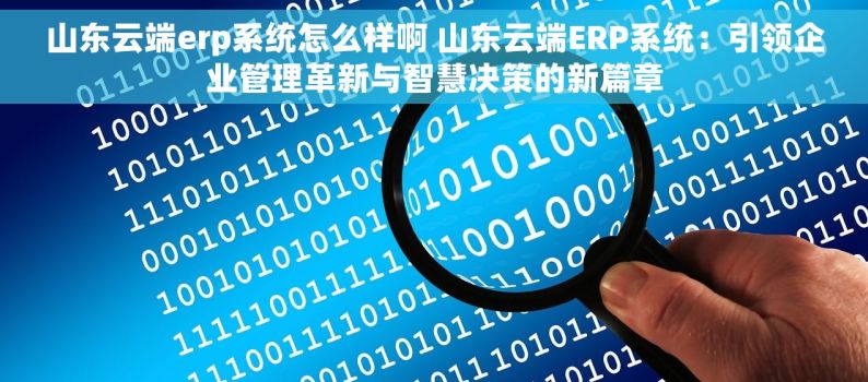 山东云端erp系统怎么样啊 山东云端ERP系统：引领企业管理革新与智慧决策的新篇章