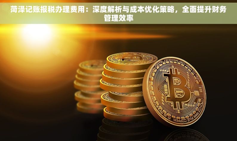 菏泽记账报税办理费用：深度解析与成本优化策略，全面提升财务管理效率