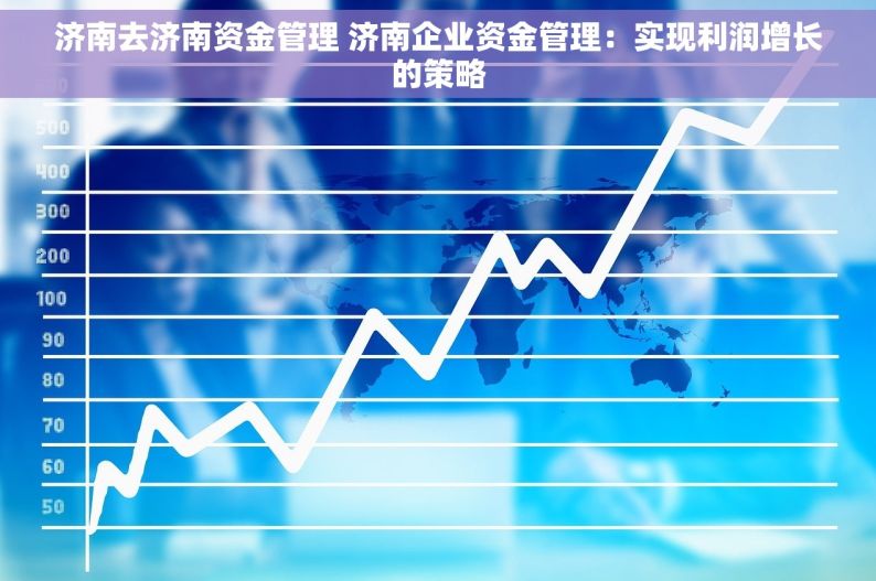 济南去济南资金管理 济南企业资金管理：实现利润增长的策略