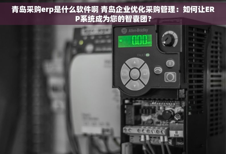 青岛采购erp是什么软件啊 青岛企业优化采购管理：如何让ERP系统成为您的智囊团？