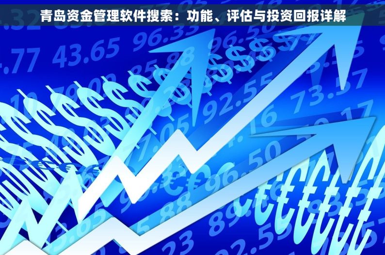 青岛资金管理软件搜索：功能、评估与投资回报详解