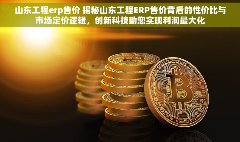 山东工程erp售价 揭秘山东工程ERP售价背后的性价比与市场定价逻辑，创新科技助您实现利润最大化