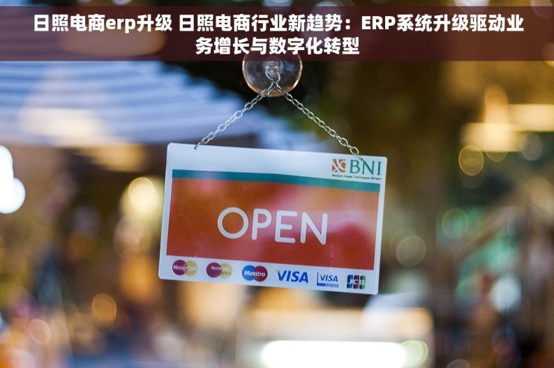 日照电商erp升级 日照电商行业新趋势：ERP系统升级驱动业务增长与数字化转型