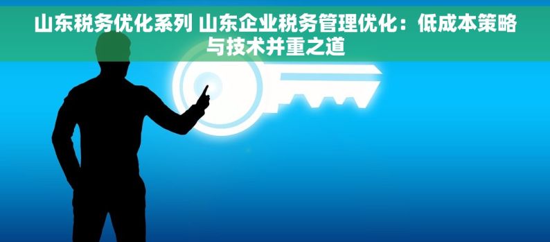 山东税务优化系列 山东企业税务管理优化：低成本策略与技术并重之道