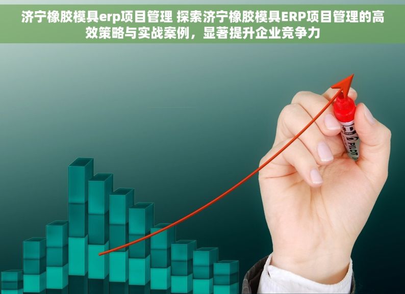 济宁橡胶模具erp项目管理 探索济宁橡胶模具ERP项目管理的高效策略与实战案例，显著提升企业竞争力