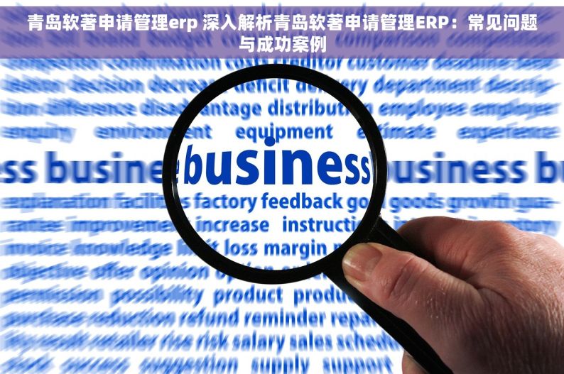 青岛软著申请管理erp 深入解析青岛软著申请管理ERP：常见问题与成功案例