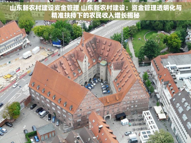 山东新农村建设资金管理 山东新农村建设：资金管理透明化与精准扶持下的农民收入增长揭秘