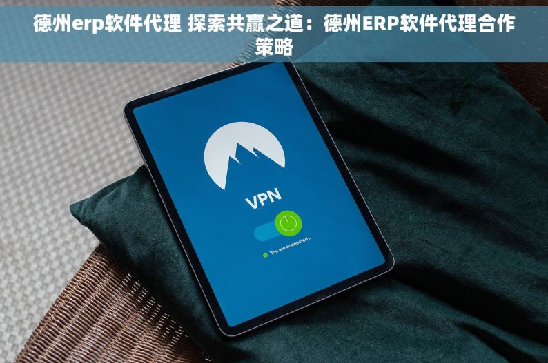 德州erp软件代理 探索共赢之道：德州ERP软件代理合作策略