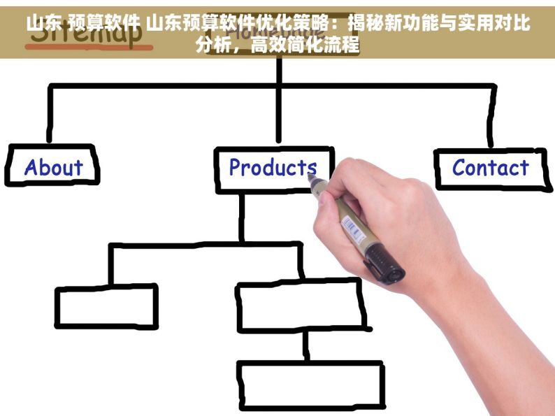 山东 预算软件 山东预算软件优化策略：揭秘新功能与实用对比分析，高效简化流程