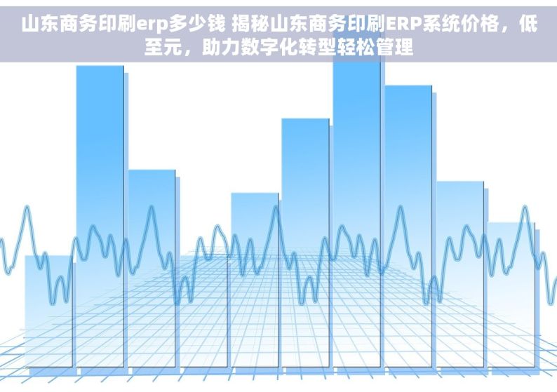 山东商务印刷erp多少钱 揭秘山东商务印刷ERP系统价格，低至元，助力数字化转型轻松管理