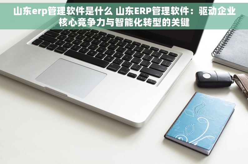 山东erp管理软件是什么 山东ERP管理软件：驱动企业核心竞争力与智能化转型的关键