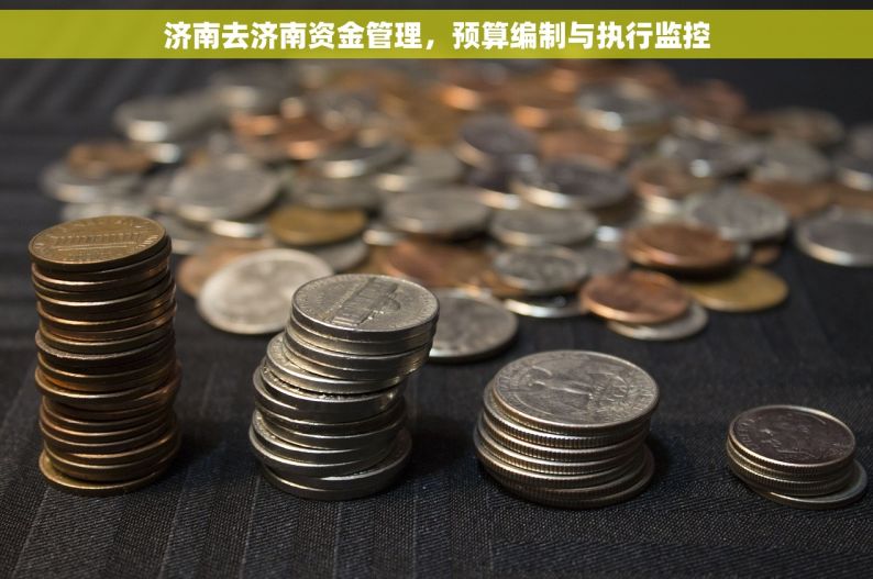 济南去济南资金管理，预算编制与执行监控