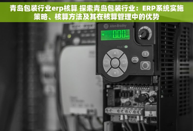 青岛包装行业erp核算 探索青岛包装行业：ERP系统实施策略、核算方法及其在核算管理中的优势