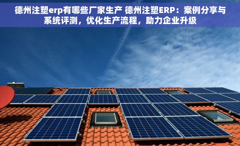 德州注塑erp有哪些厂家生产 德州注塑ERP：案例分享与系统评测，优化生产流程，助力企业升级