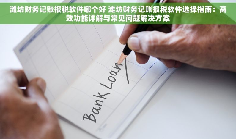 潍坊财务记账报税软件哪个好 潍坊财务记账报税软件选择指南：高效功能详解与常见问题解决方案