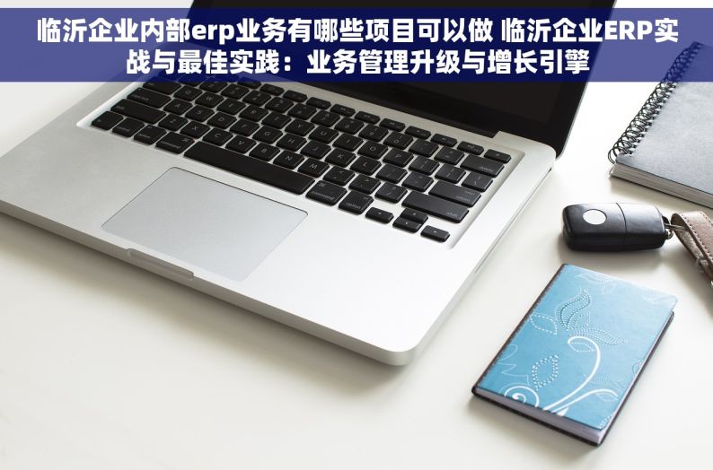 临沂企业内部erp业务有哪些项目可以做 临沂企业ERP实战与最佳实践：业务管理升级与增长引擎