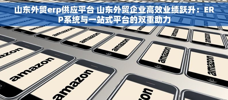 山东外贸erp供应平台 山东外贸企业高效业绩跃升：ERP系统与一站式平台的双重助力