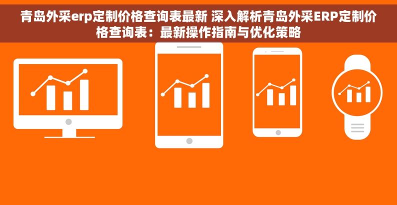 青岛外采erp定制价格查询表最新 深入解析青岛外采ERP定制价格查询表：最新操作指南与优化策略