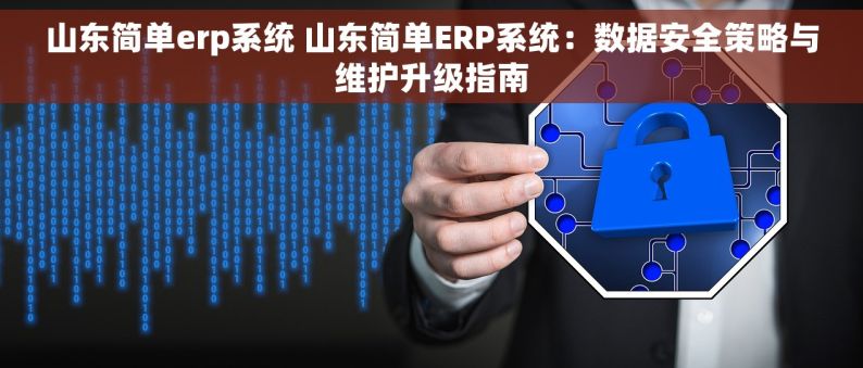 山东简单erp系统 山东简单ERP系统：数据安全策略与维护升级指南